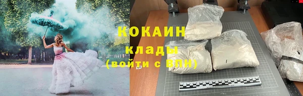 бошки Аркадак