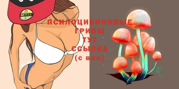 бошки Аркадак