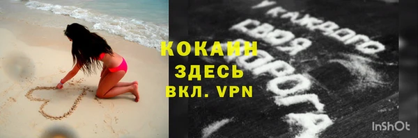 гидра Арсеньев