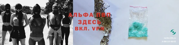 гидра Арсеньев