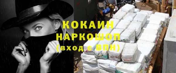 гидра Арсеньев